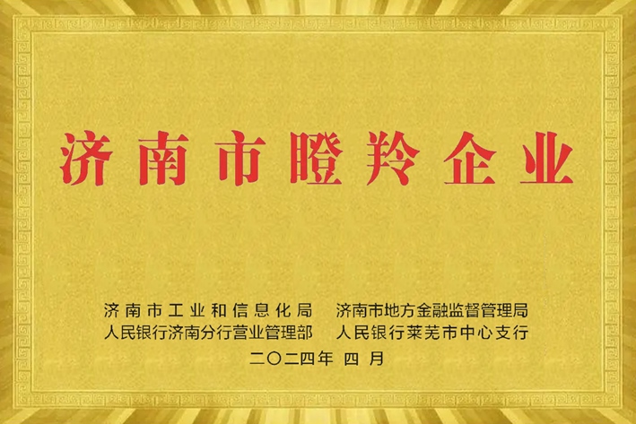 济南市瞪羚企业